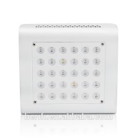 2019 Popular 1.7PPF/W 90 watt Mini Full Spectrum LED Grow Lights